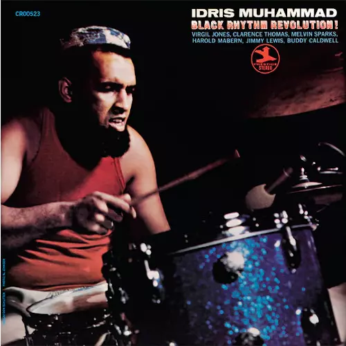 IDRIS MUHAMMAD / アイドリス・ムハマッド / Black Rhythm Revolution!(LP/180g)