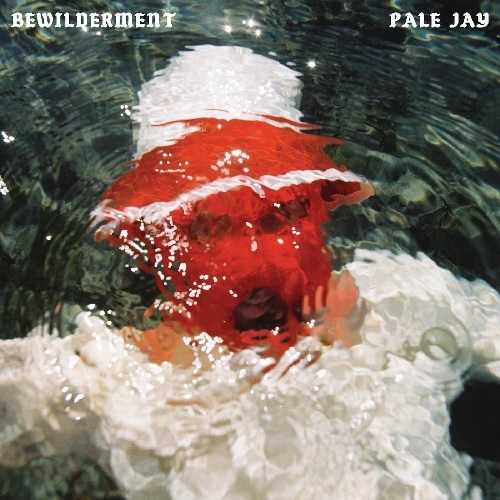 PALE JAY / BEWILDERMENT (LP)
