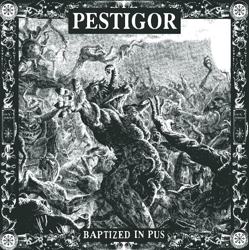 PESTIGOR / BAPTIZED IN PUS (LP)