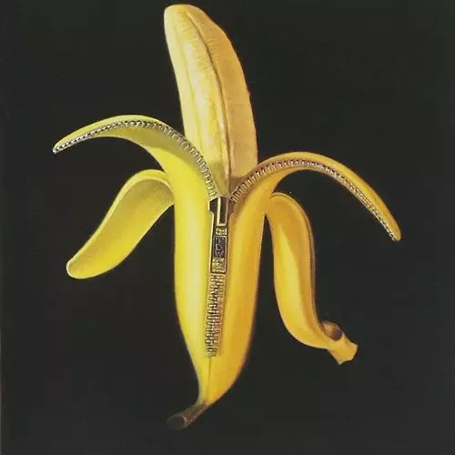 DANDY WARHOLS / ダンディ・ウォーホルズ / WELCOME TO THE MONKEY HOUSE (LP)