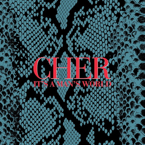 CHER / シェール / IT'S A MAN'S WORLD (DELUXE EDITION) [CD]