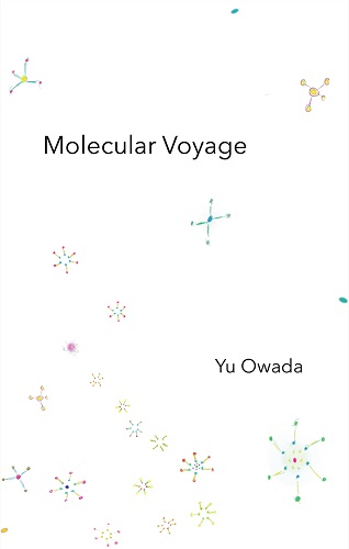 Yu Owada / 大和田悠 / Molecular Voyage(CASSETTE)