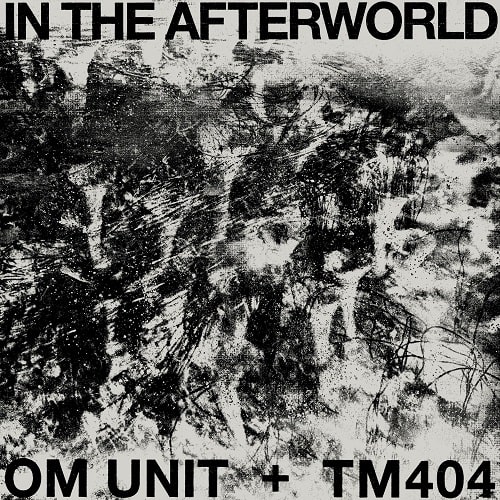 OM UNIT + TM404 / IN THE AFTERWORLD (LP)