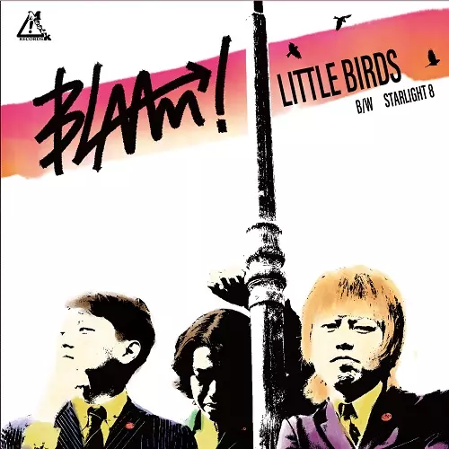 Little Birds USA Analog レコード Little Birds USA Analog レコード