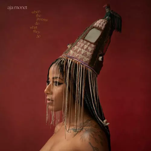 AJA MONET / アジャ・モネ / When the Poems Do What They Do(2LP)