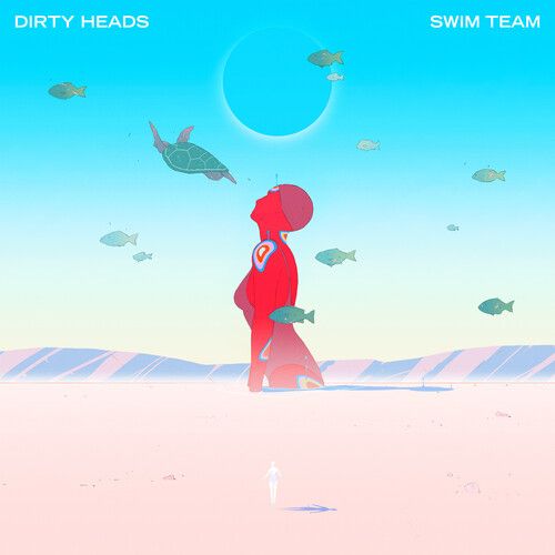 DIRTY HEADS / ダーティー・ヘッズ / SWIM TEAM [VINYL]