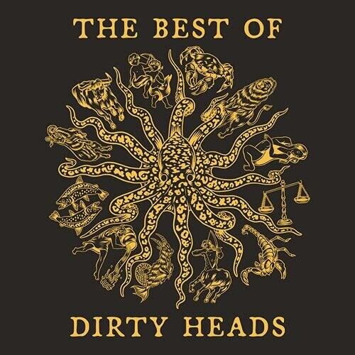 DIRTY HEADS / ダーティー・ヘッズ / THE BEST OF DIRTY HEADS [VINYL]