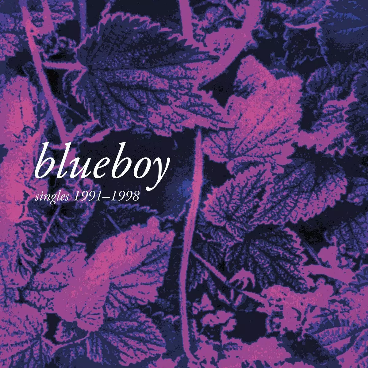 BLUEBOY / ブルーボーイ商品一覧｜PUNK｜ディスクユニオン