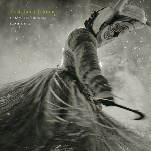 YOSHIHARU TAKEDA / 武田吉晴 / BEFORE THE BLESSING (LP) / ビフォア・ザ・ブレッシング