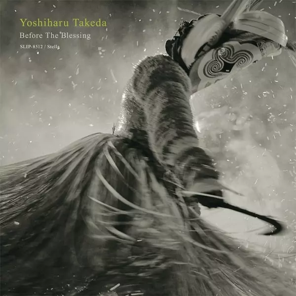 武田吉晴 YOSHIHARU TAKEDA - ASPIRATION レコード 武田吉晴 YOSHIHARU TAKEDA - ASPIRATION レコード