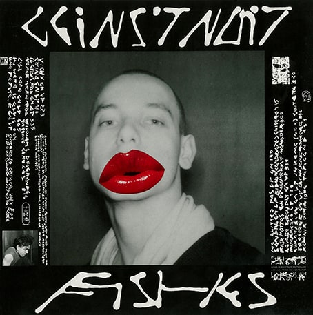GEINS'T NAIT / FISHES (CD)