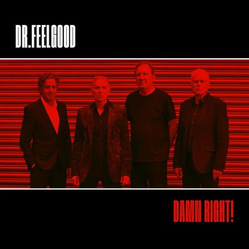 DR. FEELGOOD / ドクター・フィールグッド / DAMN RIGHT! (LP)