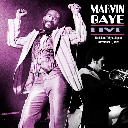 MARVIN GAYE / マーヴィン・ゲイ / LIVE - BUDOKAN TOKYO, JAPAN, NOVEMBER 1, 1979 (2LP)