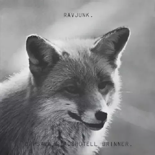 RAVJUNK / UPPSALA STADSHOTELL BRINNER - LIMITED VINYL+DVD