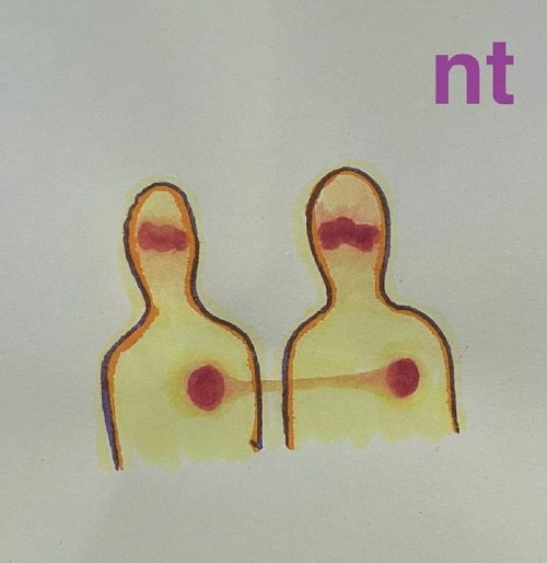 NT (NAIL TOLLIDAY) / NT (LP VINYL)