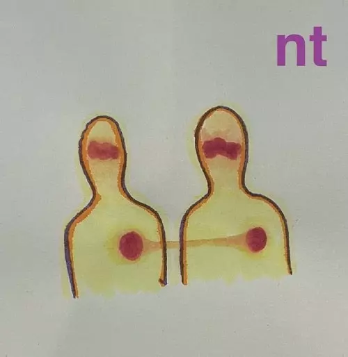 NT (NAIL TOLLIDAY) / NT (LP VINYL)