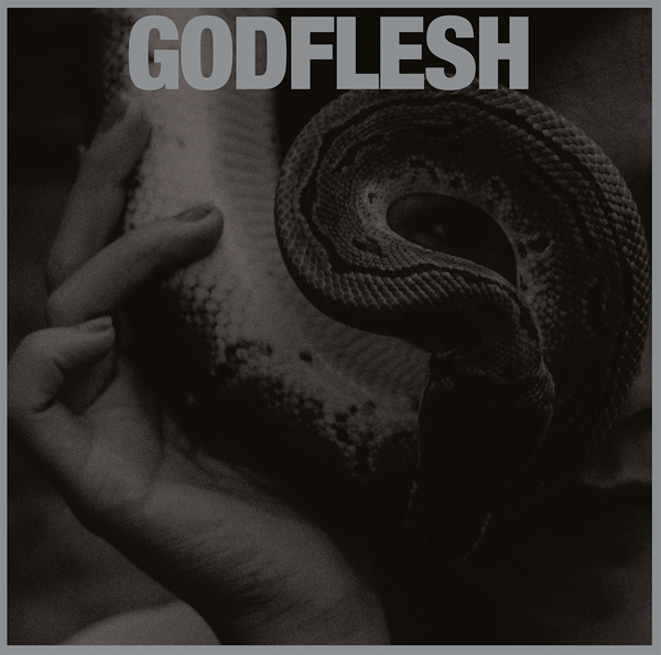 GODFLESH / ゴッドフレッシュ / PURGE (LP) / PURGE (LP)