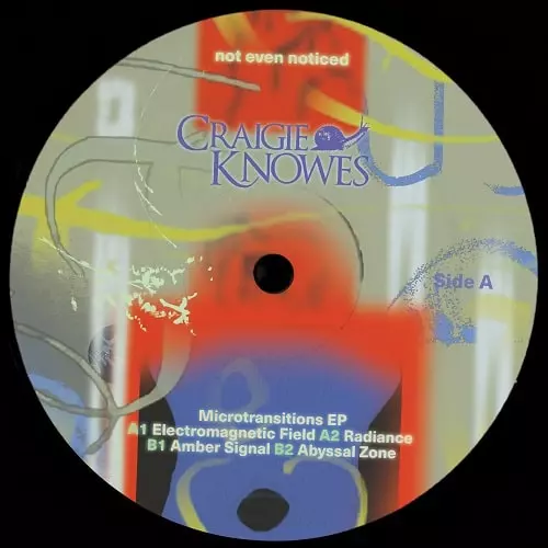 NOT EVEN NOTICED / MICROTRANSITIONS EP