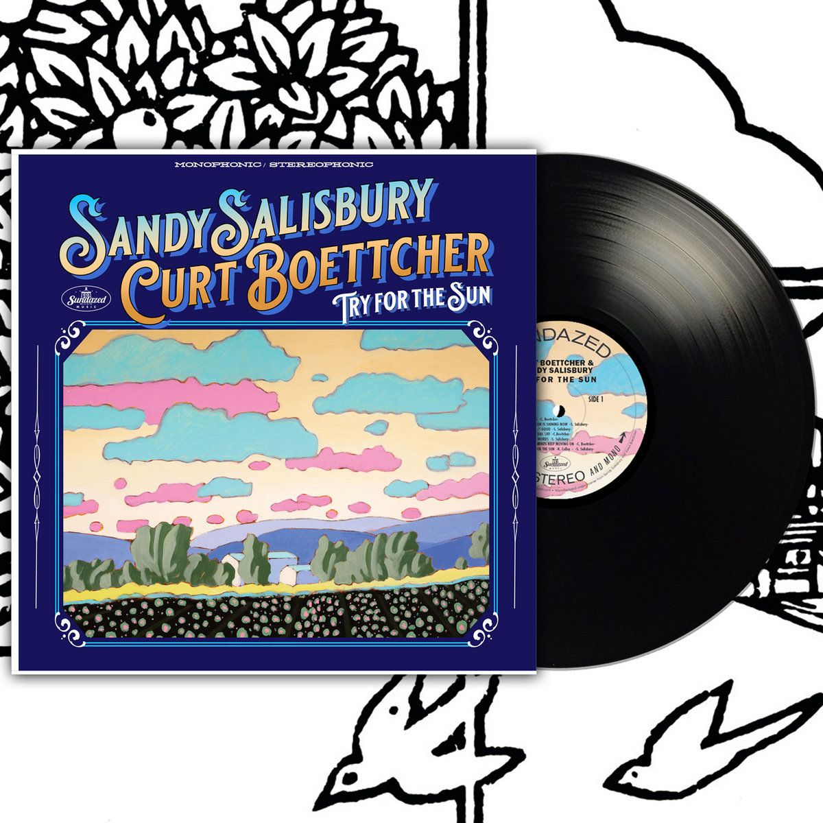 SANDY SALISBURY & CURT BOETTCHER / サンディ・サルスベリー・アンド・カート・ベッチャー / TRY FOR THE SUN (VINYL)