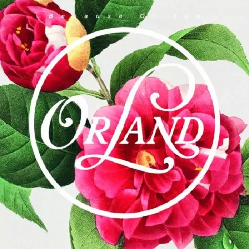 Orland / Because Of You (7")