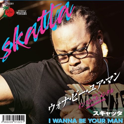 WHAT YOU WON'T DO FOR LOVE/BUSHMAN/ブッシュマン/STEELY & CLEVIEが 