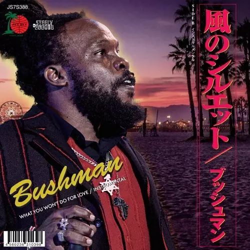 洋楽 Skatta / Bushman - I Wanna Be Your Man I WANNA BE YOUR MAN/SKATTA/STEELY & CLEVIEが贈るROGER「I