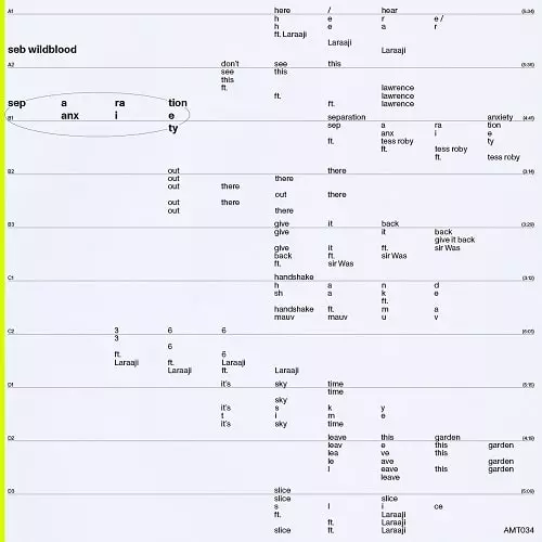 SEB WILDBLOOD / セブ・ワイルドブラッド / SEPARATION ANXIETY (2LP)