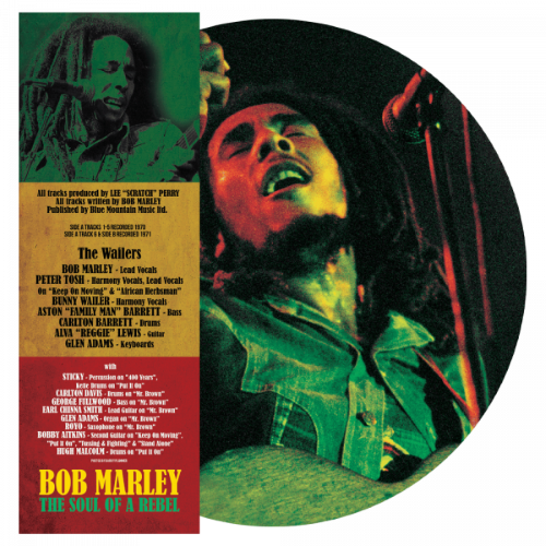 BOB MARLEY (& THE WAILERS) / ボブ・マーリー(・アンド・ザ・ウエイラーズ) / THE SOUL OF A REBEL