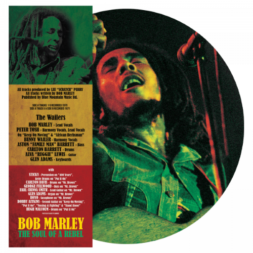 ボブマーリー BOB MARLEY The Early Years レゲエ - 洋楽