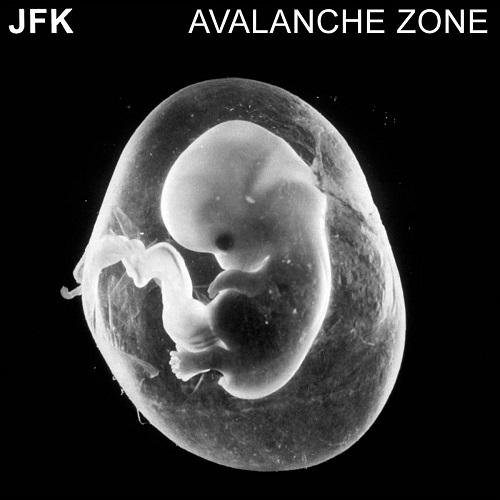 JFK (NOISE / AVANT-GARDE) / AVALANCHE ZONE (CD)