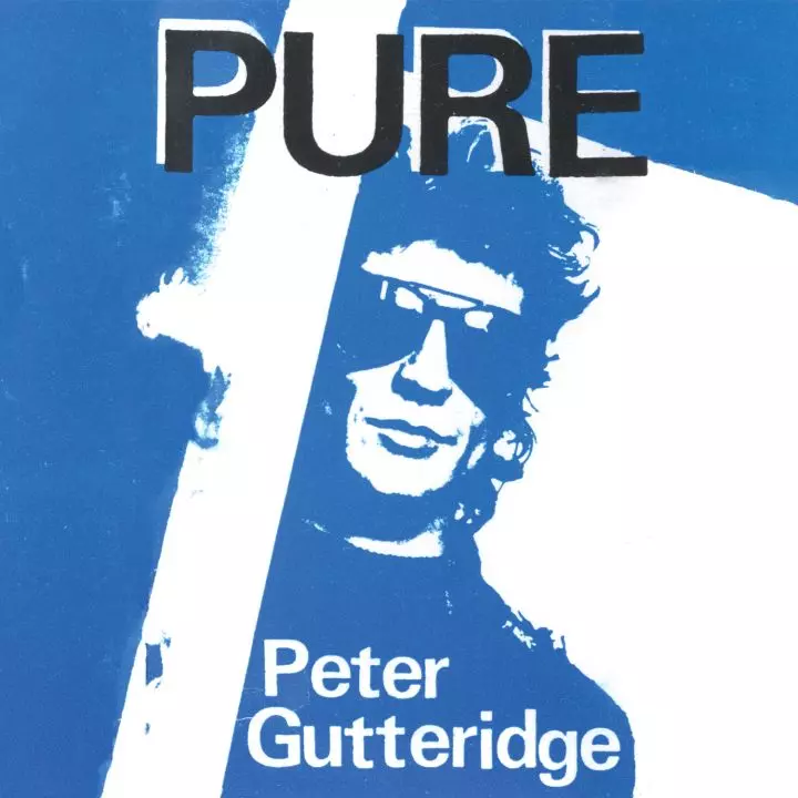 PURE (VINYL)/PETER GUTTERIDGE/THE CLEANの創設メンバー / NZアンダーグラウンド・レジェンド 89年 ...