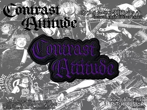 PUNK Attitude DVD 2枚組 Punk Attitude 2 DVD - VARIOUS in MINT | eBay