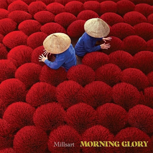 MILLSART / ミルザート / MORNING GLORY