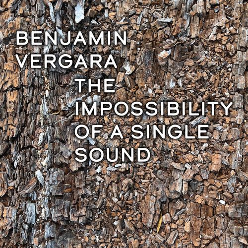 BENJAMIN VERGARA / Impossibility Of A Single Sound
