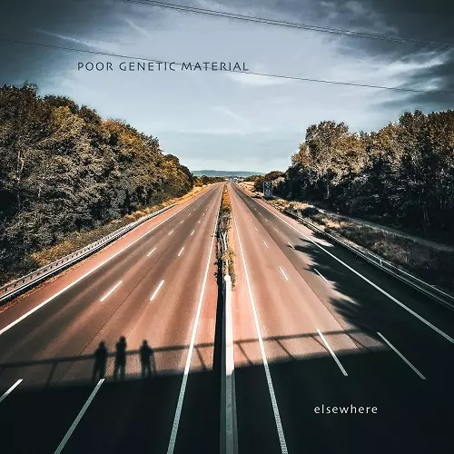 POOR GENETIC MATERIAL / プアー・ジェネティック・マテリアル / ELSEWHERE