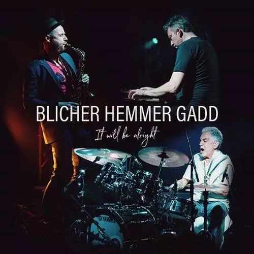 STEVE GADD / スティーヴ・ガッド / IT WILL BE ALLRIGHT / イット・ウィル・ビー・オールライト(LP)