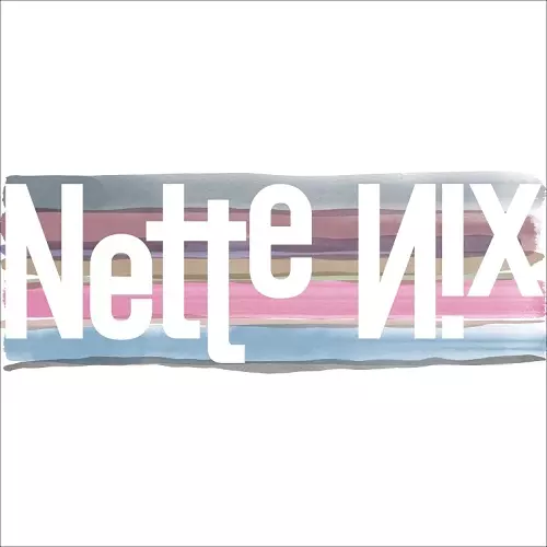 Taiichi Kamimura & Yasuaki Kowa  / かみむら泰一&古和靖章 / NetteNix