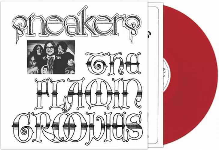 Flamin’ Groovies レコード　2枚組　1972年　オリジナル 商品