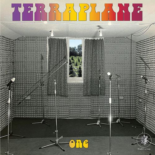 TERRAPLANE / テラプレイン / ONE (LP)