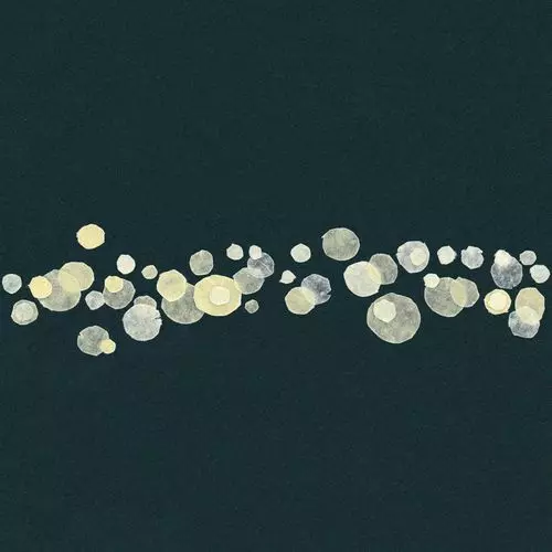 tAk / MURMURATIONS / マーマレイション