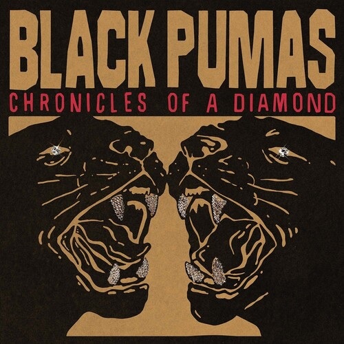 BLACK PUMAS / ブラック・ピューマズ / CHRONICLES OF A DIAMOND (LP)