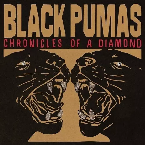 BLACK PUMAS / ブラック・ピューマズ商品一覧｜SOUL / BLUES