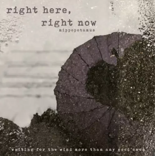 mippopotamus / right here, right now