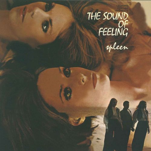 SOUND OF FEELING / サウンド・オブ・フィーリング / SPLEEN / スプリーン (紙ジャケCD)