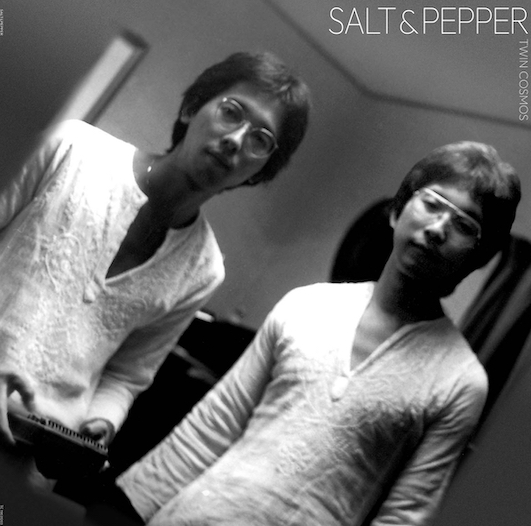 TWIN COSMOS / Salt & Pepper(LP)