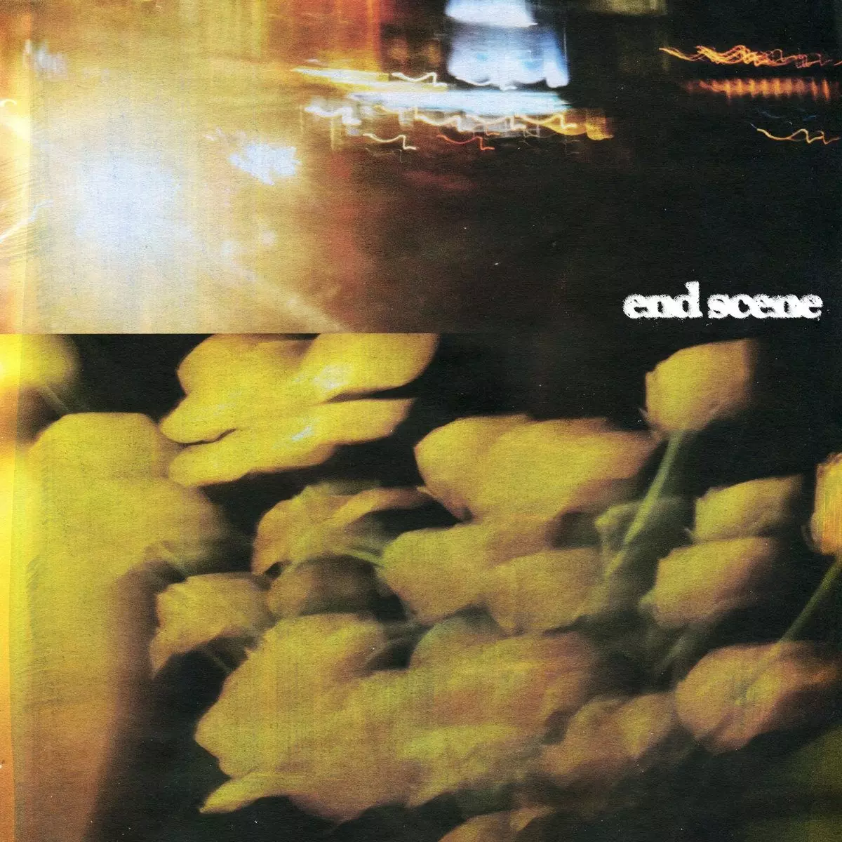 SHE'S IN PARTIES / END SCENE (VINYL)
