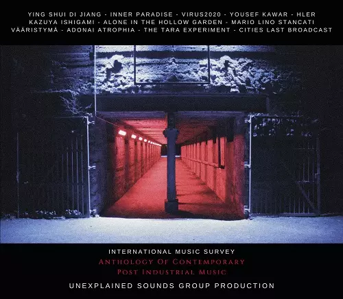 V.A.(NOISE / AVANT-GARDE) / ANTHOLOGY OF CONTEMPORARY POST INDUSTRIAL MUSIC