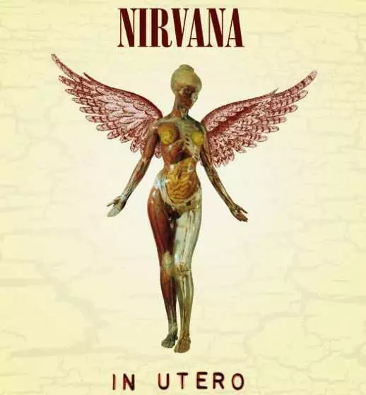 NIRVANA / ニルヴァーナ / IN UTERO (30TH ANNIVERSARY 5CD SUPER DELUXE)