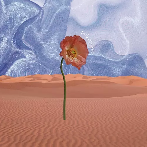 Masami Takashima / Polyphonic