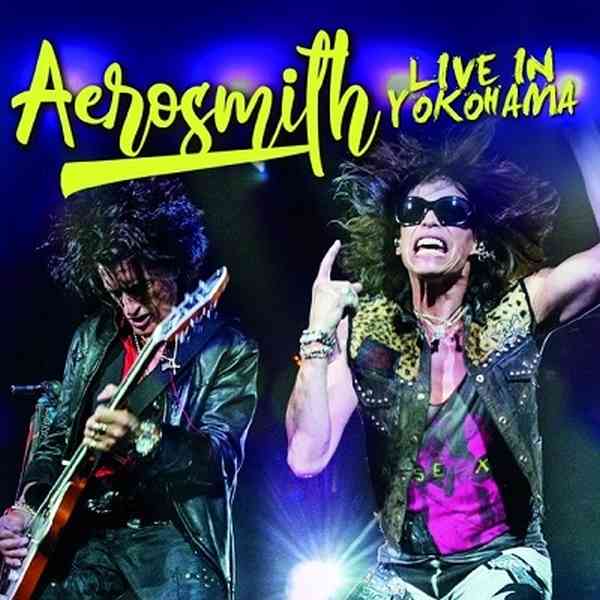 AEROSMITH / エアロスミス商品一覧｜CD・RECORD ACCESSORY